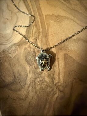 Silver and Gold Turtle Necklace
